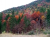 valtorta_2006